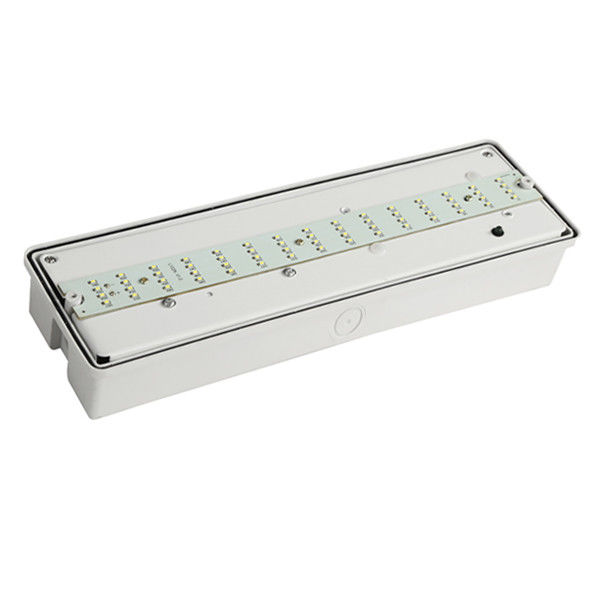 Wasserdichte Notleuchte zur Wandmontage, IP65, SMD, für feuchte Umgebungen im Freien, EL060AN