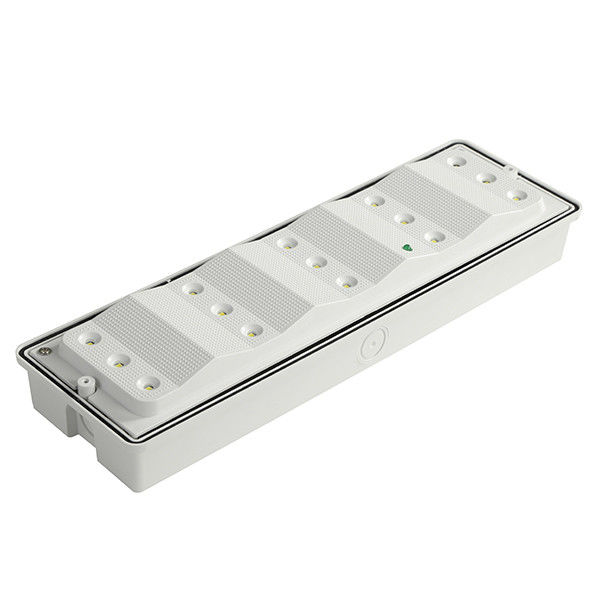 110V 220V SMD 2835 Weiße LED Aufputz-Wetterfeste Notleuchte PC-Diffusor IP65 EL015EM