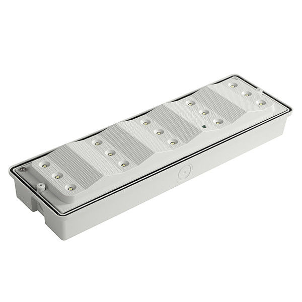 Aufputz LED wetterfeste Notbeleuchtung IP65 Nickel-Cadmium-Batterie 3,6V 0,6Ah EL015AMN
