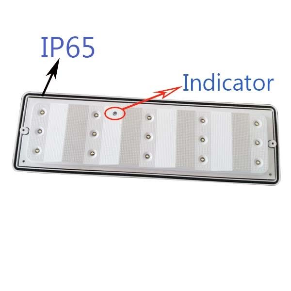 Wandmontierte wasserdichte Notfall-Kopfleuchte LED Feuchtraum Außen IP65 L102M
