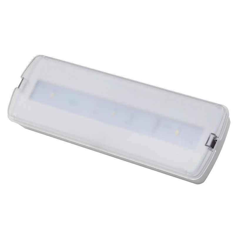 1,5W LED Wandaufbau-Notleuchte mit Akku, CE-geprüft L116N-A