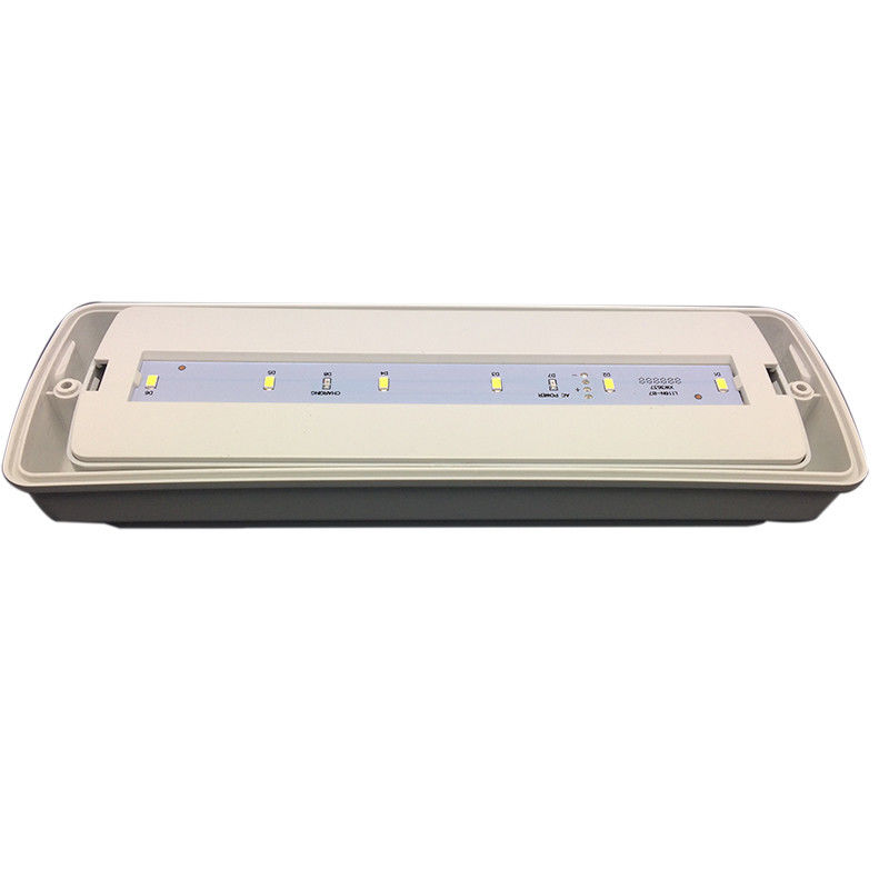 Wasserdichtes Notlicht Kleine Größe LED Ni Cd Batterie 3 Stunden Dauer L116N-D
