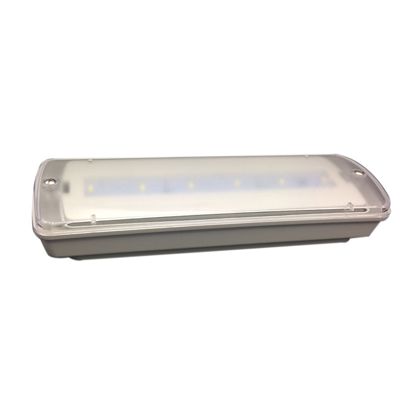 Wasserdichtes Notlicht Kleine Größe LED Ni Cd Batterie 3 Stunden Dauer L116N-D
