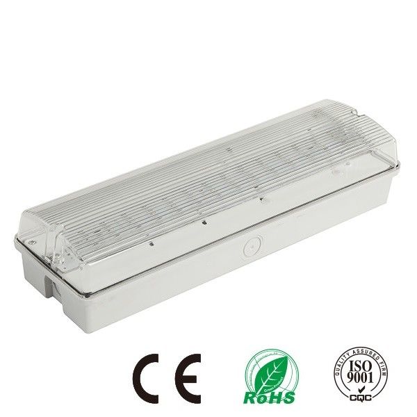 Wiederaufladbares wasserdichtes Notlicht LED IP65 Nasse Lage Außenbereich mit Akku 3 Stunden EL060AM