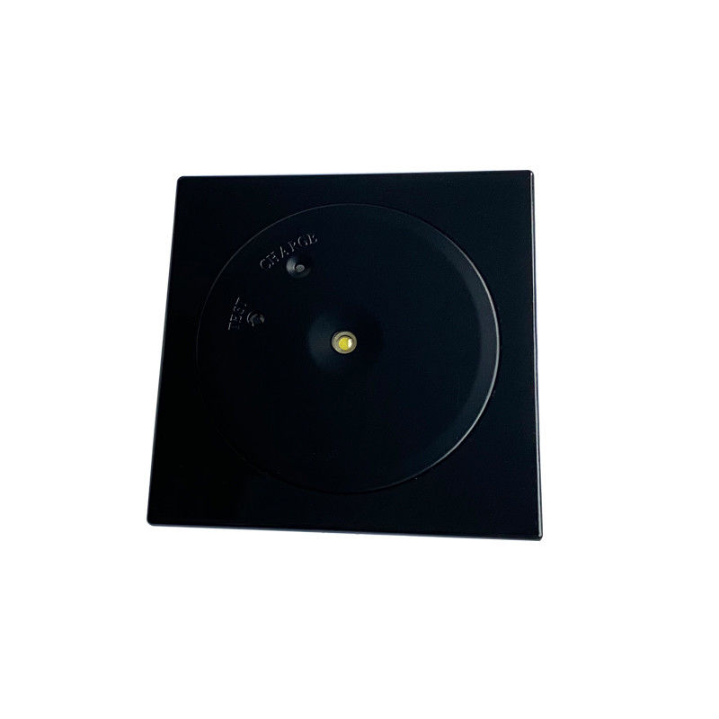 Spot 3W IP20 Gewerbliche Deckenlampen mit Akku-Rücklauf LED-Notlicht L104N-3