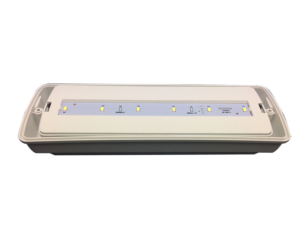 Kleine Industrieanlage IP65 Wasserdicht Notlicht Nasse Lage im Freien 3 Stunden L116N-D