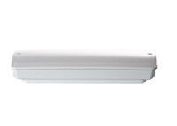CE-Standard nicht gewartete wasserdichte Notlicht IP65 Nasse Lage Ni-Cd Batterie L121N