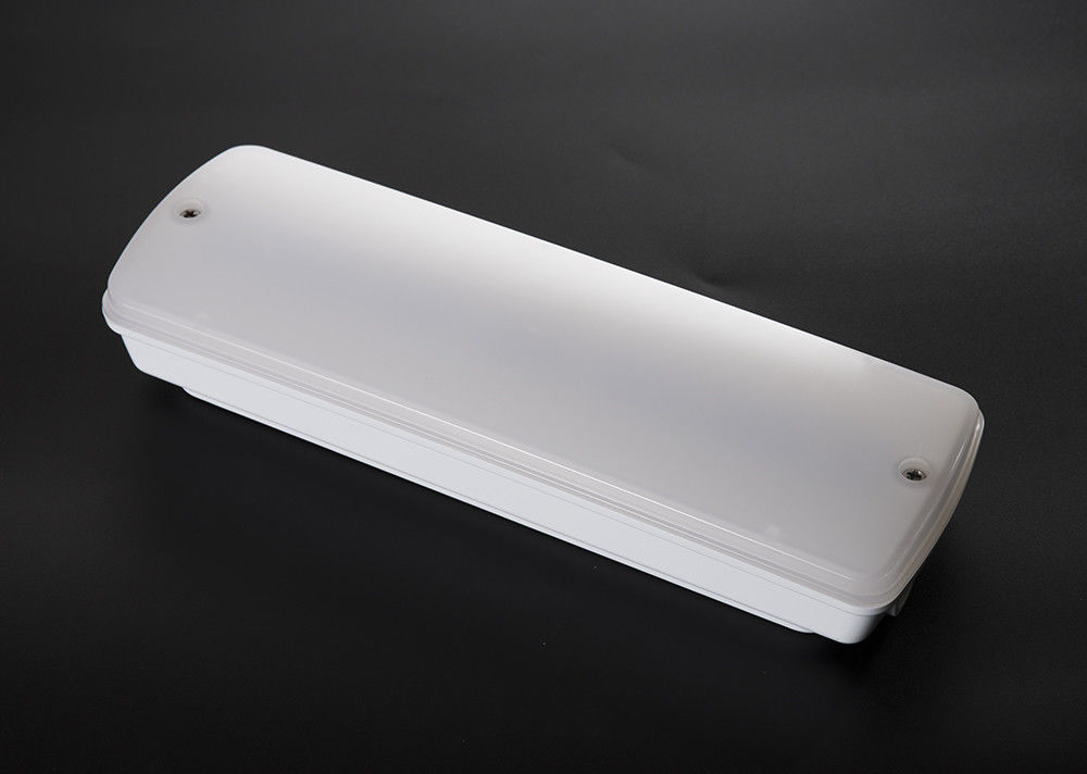 CE-Standard nicht gewartete wasserdichte Notlicht IP65 Nasse Lage Ni-Cd Batterie L121N