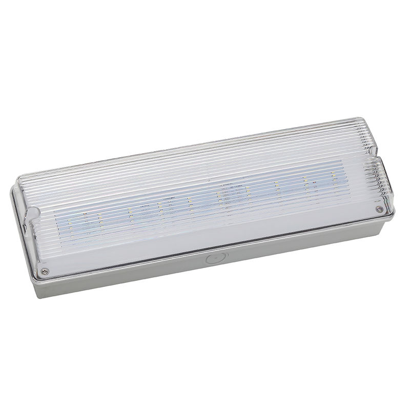 Wasserdichte LED-Notleuchte 3H NiCd-Batterie-Backup 3,6V 1,0Ah 5 Stück SMD 5730 IP65 6500K