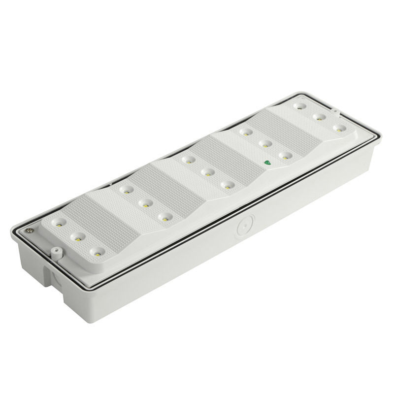 IP65 Wasserdichte LED Notlicht 3W Ni Cd Batterie Backup 15pcs 2835 SMD 6500K
