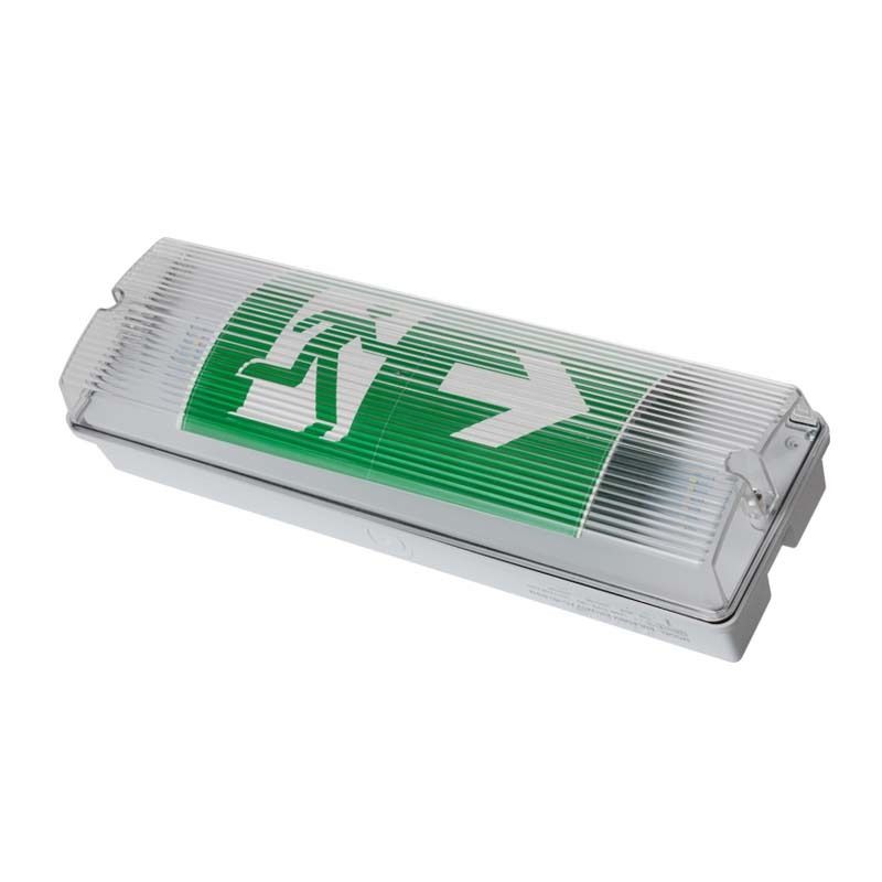 Aufzug LED wetterfest Notleuchte IP65 220V 240V 3H Notstrom NiCd Akku Leuchte