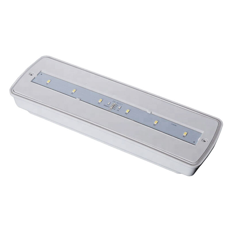 Industrie IP65 Wasserdicht LED Notlicht Nasse Lage Außen 3 Stunden Backup Ni-Cd