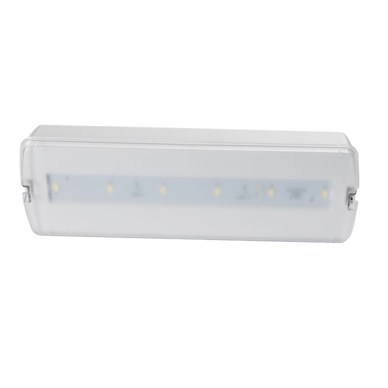 Permanente Kunststoff-Batterie-Notstrom-wiederaufladbare Wandmontage-LED-Leuchte 3 Stunden Backup Ni-Cd IP20