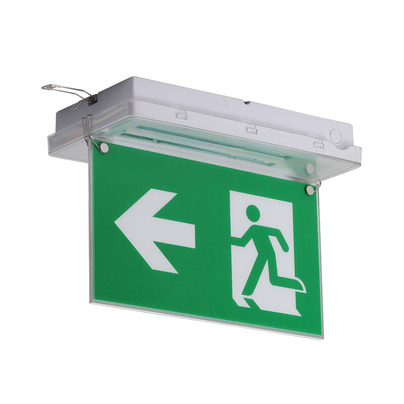 Notbeleuchtung für Notausgang, Decken-Einbau, Ni-Cd-Akku, IP65, 5730 SMD LED