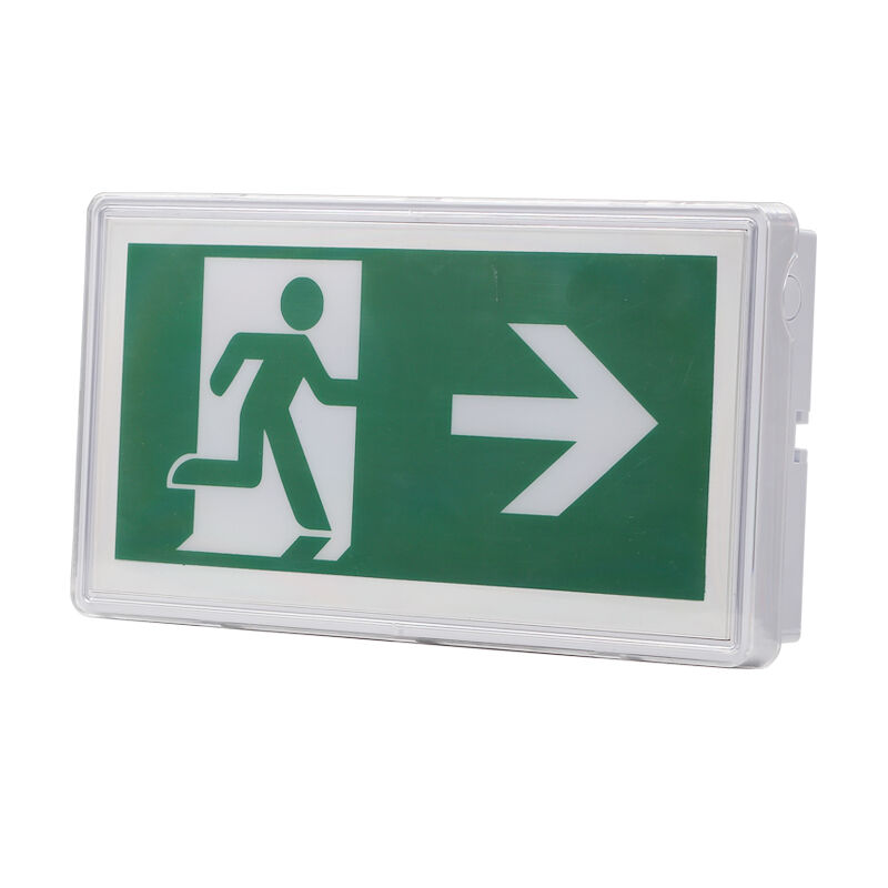 Notbeleuchtung für Notausgang, Decken-Einbau, Ni-Cd-Akku, IP65, 5730 SMD LED