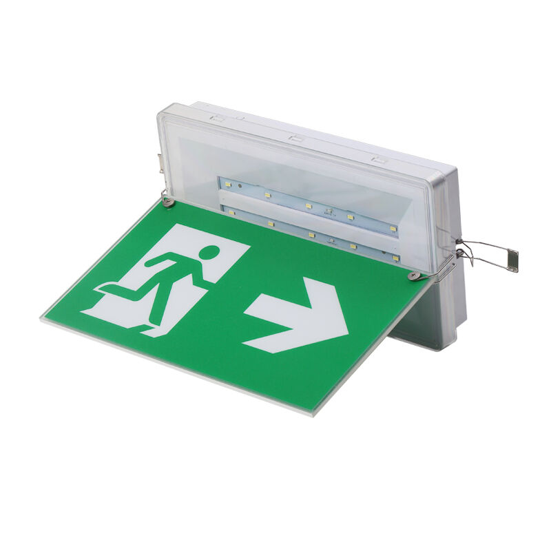 Notbeleuchtung für Notausgang, Decken-Einbau, Ni-Cd-Akku, IP65, 5730 SMD LED