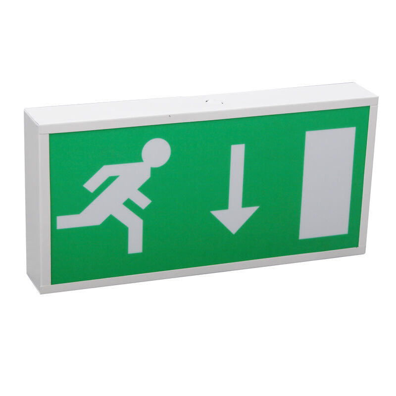 Running Man Ni-Cd-Batterie-Backup-LED-Notausgangsbeleuchtung mit 5730 SMD-LED und 3 Jahren Garantie