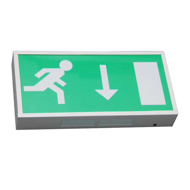 Running Man Ni-Cd-Batterie-Backup-LED-Notausgangsbeleuchtung mit 5730 SMD-LED und 3 Jahren Garantie
