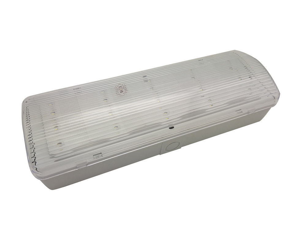 Feuerdichte ABS-Hülle LED-Notlicht mit 3 Stunden Dauer und Nickel-Cadmiumbatterie