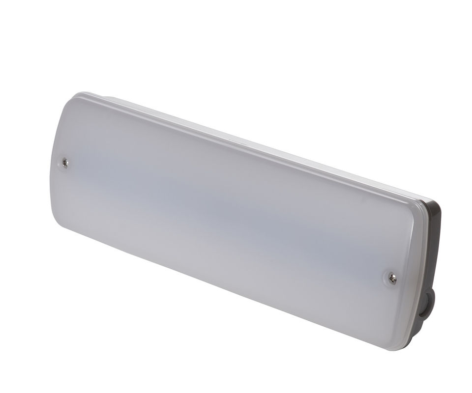 Wartung Nicht Wartung 3W Wasserdicht Notlicht Nasse Lage Außen 3 Jahre Garantie IP65 L121N
