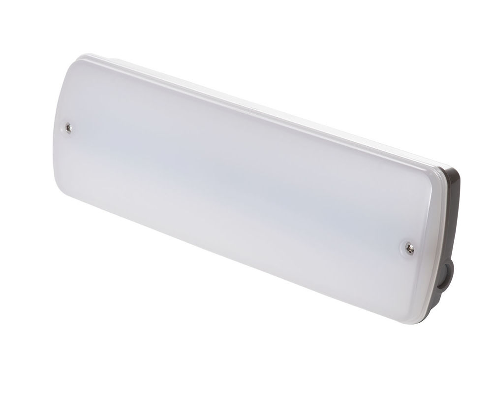 Industriewasserdichtes Notlicht 220V Nasse Lage Außenbereich mit Batterie-Backup LED L121N