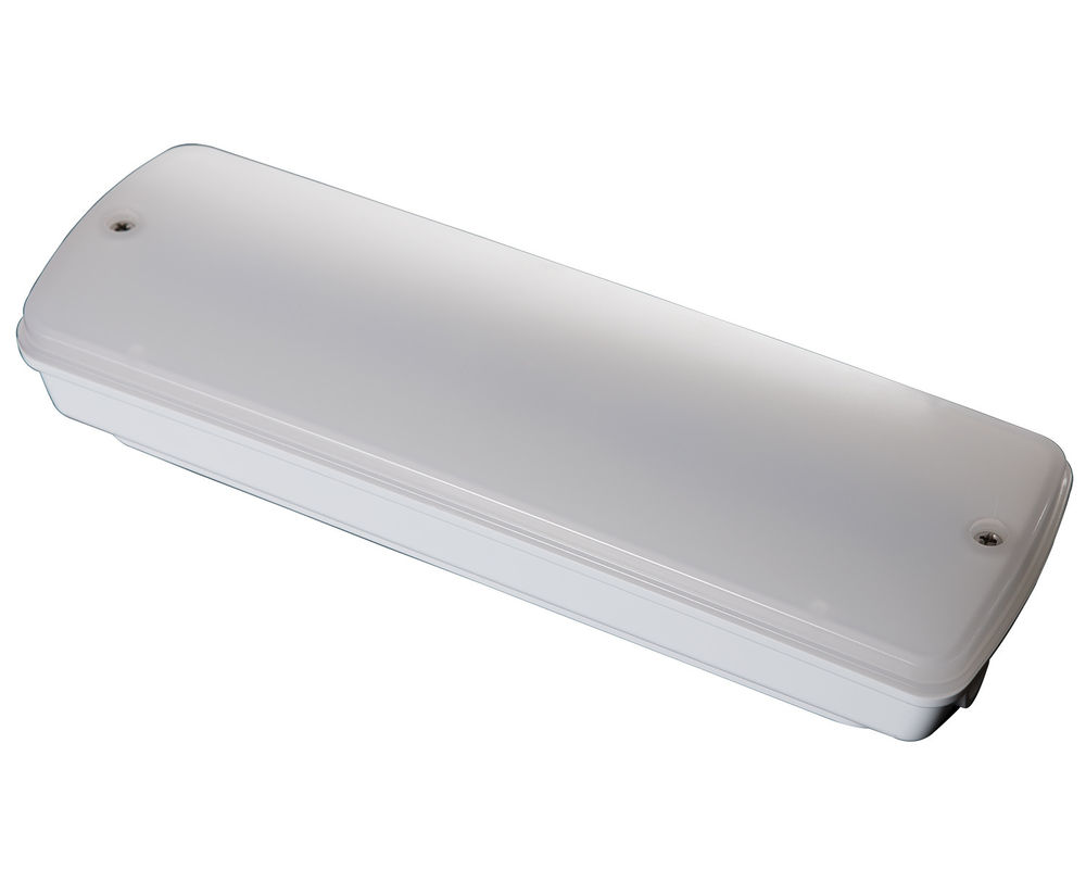Industriewasserdichtes Notlicht 220V Nasse Lage Außenbereich mit Batterie-Backup LED L121N