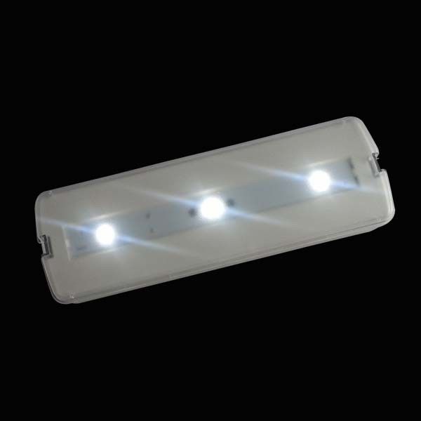 220V Wiederaufladbare LED-Notleuchte mit Notstromversorgung, CE-Zulassung, Wandmontage L116N-A1
