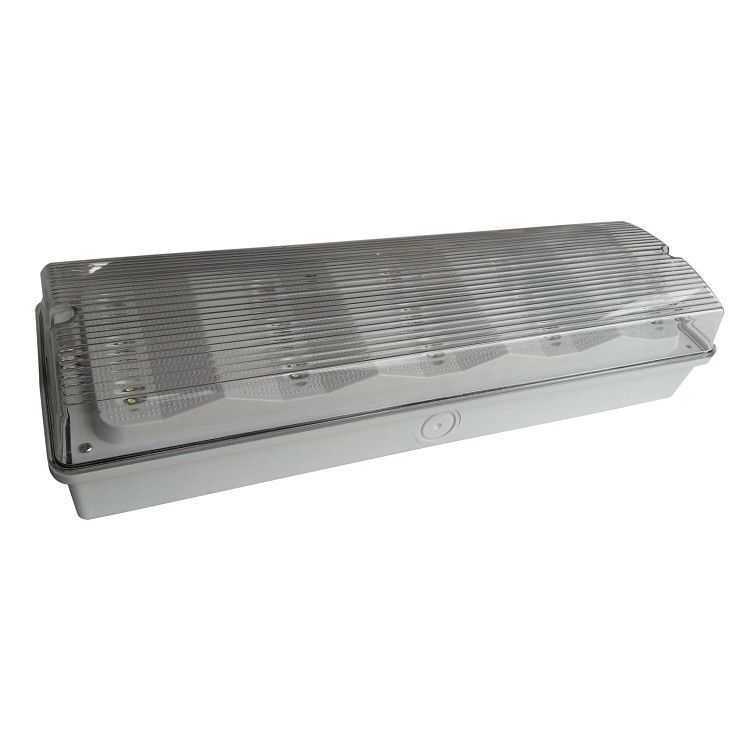 Wasserdichte Deckenaufbau-LED-Notleuchte mit Selbstdiagnose, IP65, nicht ständig betrieben, 50Hz 60Hz EL015ANT