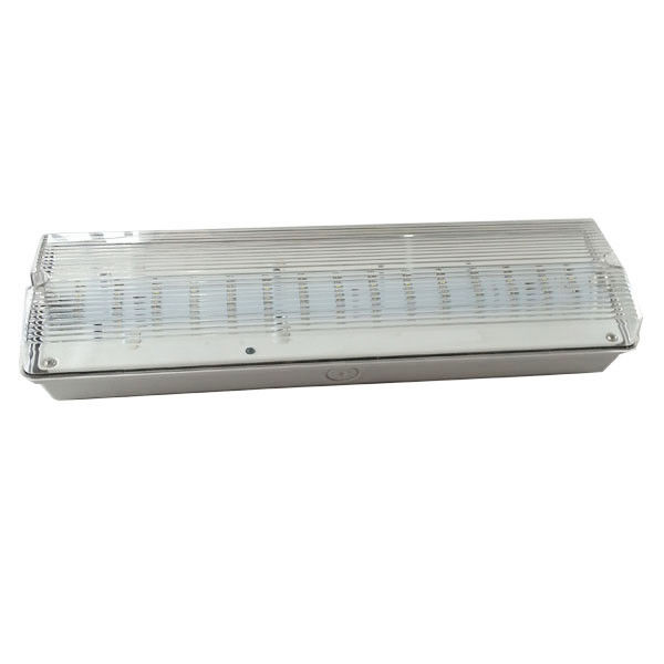 Batteriebetriebene, selbsterkennende, wasserdichte Notbeleuchtung für den Außenbereich, IP65, für feuchte Standorte, wiederaufladbar, EL030AN